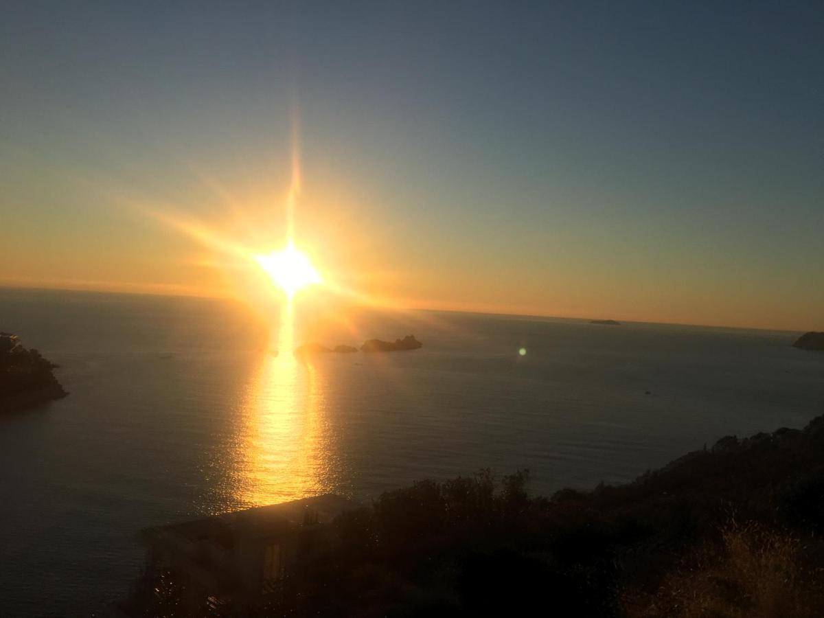 Concordia Apartments Dubrovnik Ngoại thất bức ảnh